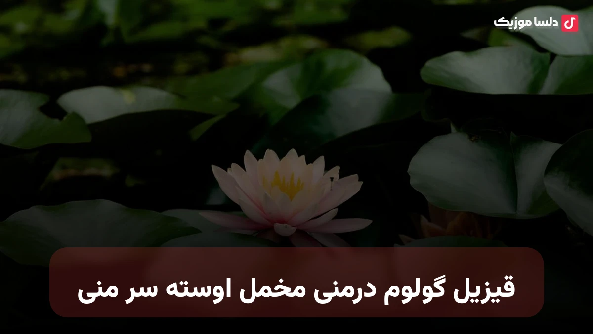 قیزیل گولوم درمنی مخمل اوسته سر منی ترکی
